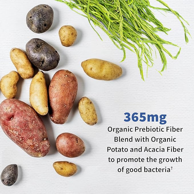 Garden of Life Probiotics for Men 50 Billion CFU 15 Strains + Vitamin D3 5000 IU Raw D3 60 Vegetarian Capsules