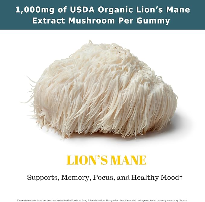 Organic Lion's Mane Mushroom Gummies | 90 Servings | Brain Health, Focus, Clarity, & Memory Mushroom Supplement Gummies | 90 Organic Lions Mane Gummies for Adults