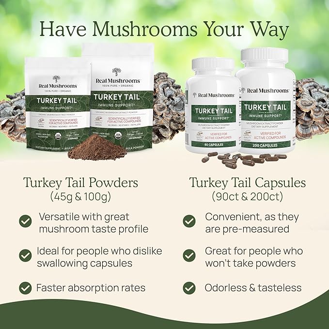 Real Mushrooms Turkey Tail Capsules - Organic Mushroom Supplement with Potent Turkey Tail Mushroom Extract for Gut, Energy, Brain, & Immune Support - Vegan Mushroom Extract, Non-GMO, 90 Caps
