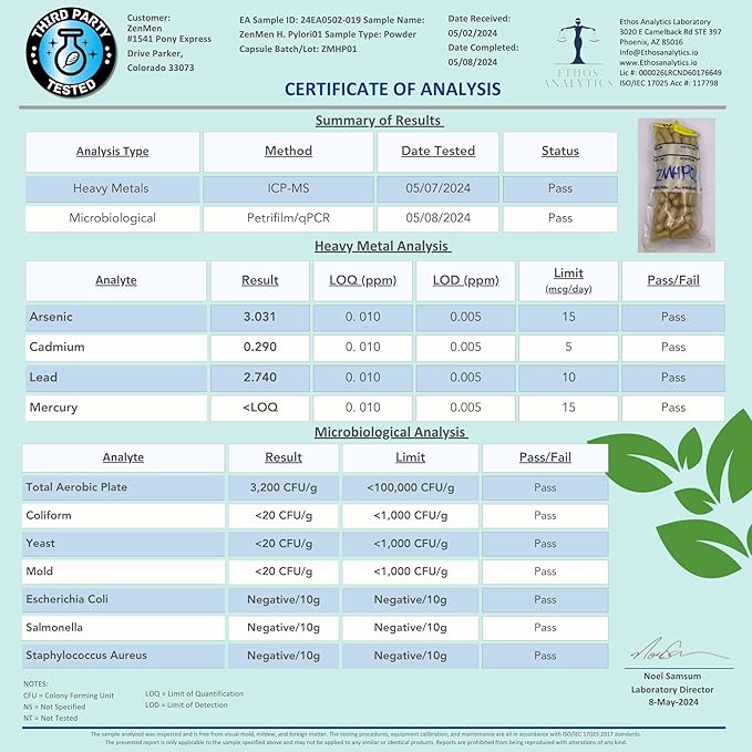H. Pylori Support | Lactobacillus Reuteri Probiotic with Mastic Gum for Digestion & GI Health - Third Party Tested, 60 Vegan Capsules, Made in The USA