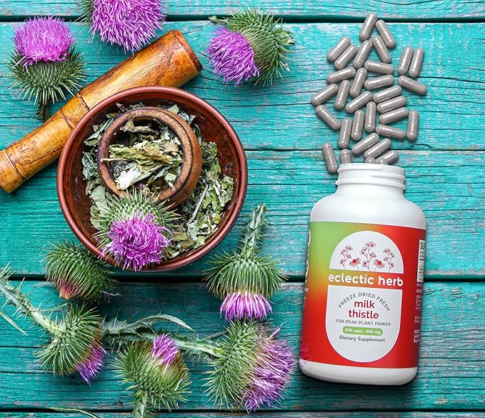 Eclectic Herb - Premium Freeze Dried Milk Thistle Capsules | Dietary Supplement | Liver Support, Detox, Cleanse + Maintain | Natural, Non-GMO, Vegan (240 CT | 600 mg)