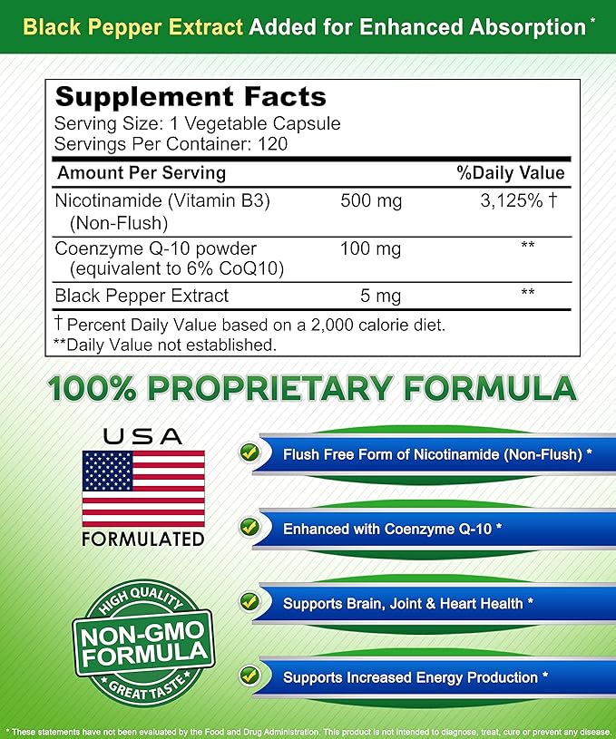 Nicotinamide with CoQ10 (120 Capsules) - Vitamin B3 500mg (Niacinamide Flush Free) - Coenzyme Q10 Powder - VIT B-3 & Coq 10 Supplement Pills to Support Energy, NAD, & Skin Cell Health