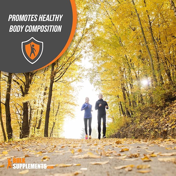 BulkSupplements.com White Kidney Bean Extract - Powdered Extract for Digestive Support, Protein Source - Gluten Free - 1500mg per Serving, Pack of 5 (5 Kilograms - 11 lbs)
