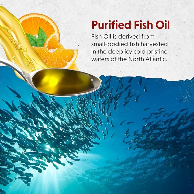 Barlean's Omega 3 Fish Oil Supplement, Liquid EPA and DHA Fatty Acid Supplements Support, High Potency Orange Flavored, 8 oz