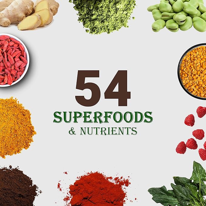 UpNourish Chocolate Vegan Protein Powder 54 Superfoods Powder,1.5 Billion CFU Probiotics 21g Plant Based Protein,No Sugar No Dairy No GMO Dairy Free,Meal Replacement Shake, Low-Carb Diet,15 Servings