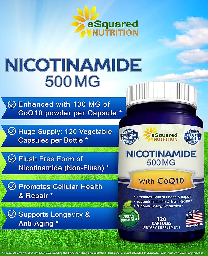 Nicotinamide with CoQ10 (120 Capsules) - Vitamin B3 500mg (Niacinamide Flush Free) - Coenzyme Q10 Powder - VIT B-3 & Coq 10 Supplement Pills to Support Energy, NAD, & Skin Cell Health