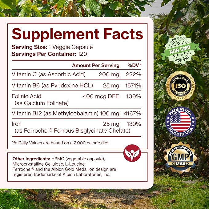 Iron Supplement for Women & Men, Natural Ferrous Chelate, Bisglycinate 25mg + Vitamin C, B6, B12, Folic Acid - IronPills for Iron Deficiency & Energy Support - 120 Count