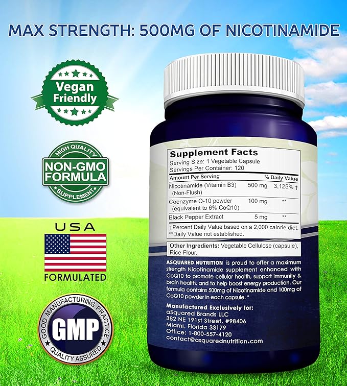 Nicotinamide with CoQ10 (120 Capsules) - Vitamin B3 500mg (Niacinamide Flush Free) - Coenzyme Q10 Powder - VIT B-3 & Coq 10 Supplement Pills to Support Energy, NAD, & Skin Cell Health