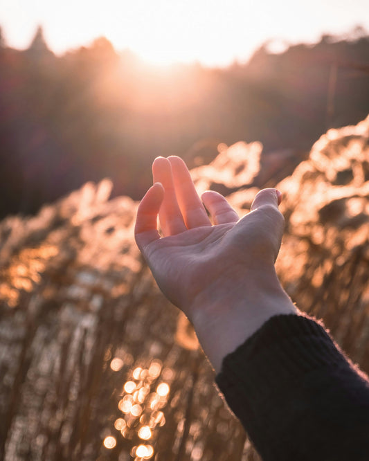 Unlock the Power of Vitamin D3: Your Key to Optimal Health