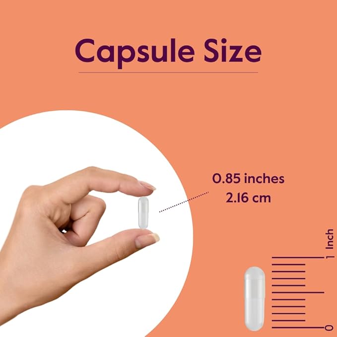 BESTVITE L-Carnosine 500mg per Capsule (120 Capsules) No Fillers - No Stearates - Non GMO - Gluten Free