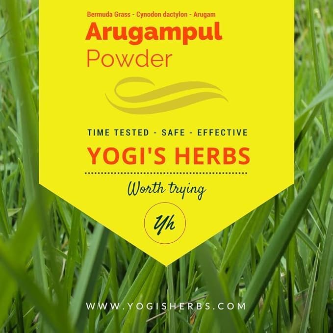 Arugampul Powder (Bermuda Grass/Cynodon dactylon) – Natural Detox & Digestive Support – 100% Pure Herbal Supplement for Immunity, Skin Health, and Overall Well-Being (8 oz)