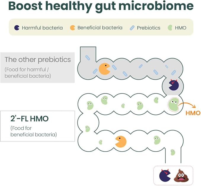MOMSTAMIN 2'-FL HMO Prebiotics & Probiotics for Kids, 1000mg Human Milk Oligosaccharide 2'-FL Powder, Patented 11 Strains, Healthy Gut Microbiome, Immune & Digestive Supplement, IBS Relief - 30 Sticks