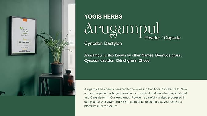 Arugampul Powder (Bermuda Grass/Cynodon dactylon) – Natural Detox & Digestive Support – 100% Pure Herbal Supplement for Immunity, Skin Health, and Overall Well-Being (8 oz)