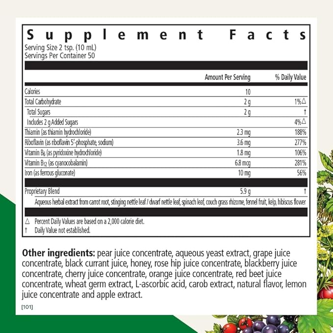 Floradix by Salus Iron & Herbs - Liquid Herbal Supplement for Energy Support - Iron Supplement with Vitamin C & B Complex Vitamins - for Men & Women - 16.9 Fl Oz
