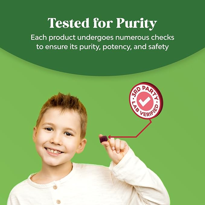 Natures Craft Sambucus Elderberry Gummies for Kids Health - Delicious Black Elderberry Gummies with Zinc and Vitamin C for Kids Immune Support - Gelatin and Gluten Free Non-GMO Immunity Support 90