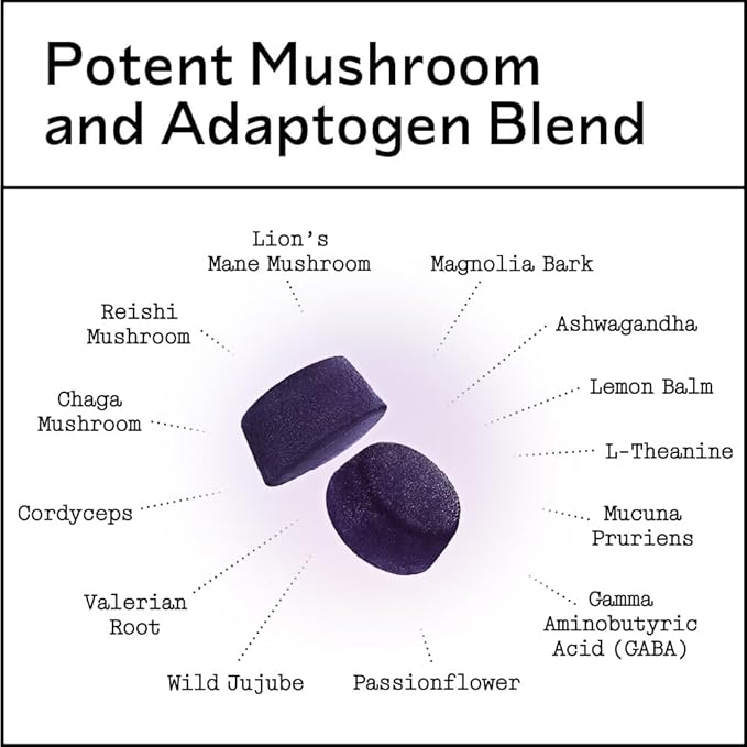 Nighttime Mushroom Adaptogen Gummies – Sugar-Free Vegan Mushroom Gummies For Adults with Reishi, Lion’s Mane, Chaga, Cordyceps, and Adaptogenic Botanicals for Sleep Support – Non-GMO, 60 Count