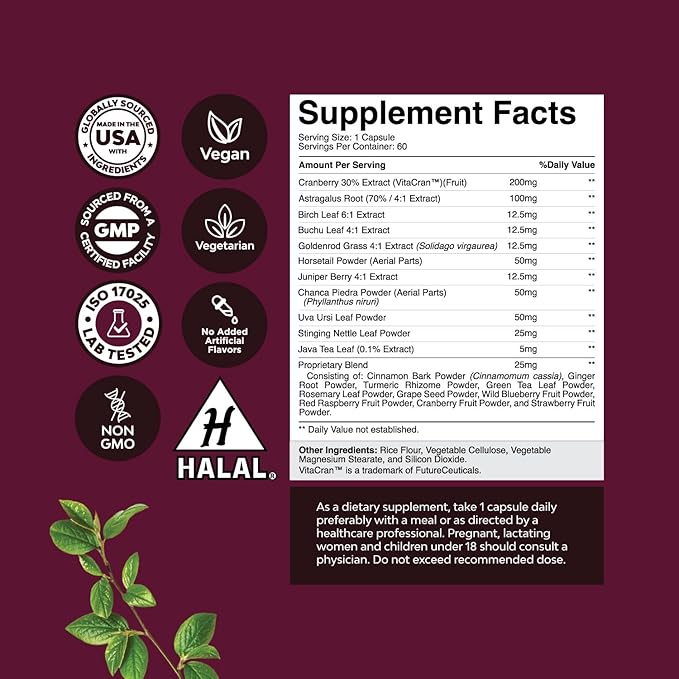 Kidney Support Cranberry Pills for Women and Men - High Strength Kidney Cleanse Detox & Repair with Stinging Nettle Uva Ursi and Astragalus for Kidney and Bladder Health - Non-GMO Halal and Vegan