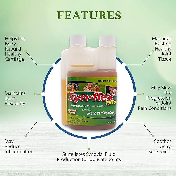 1500mg Liquid Glucosamine & Chondroitin - High Concentration Fast-Absorbing Formula Orange Flavor Helps Support Joint & Cartilage Health - with White Willow Bark, Manganese & Boswellin (32 Day Supply)