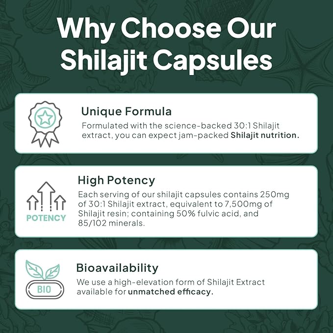 One-Per-Day Shilajit for Men and Women - Natural Shilajit Supplement for Age-Defying, Bone Strength, Hormone Support and More - 30 Shilajit Capsules