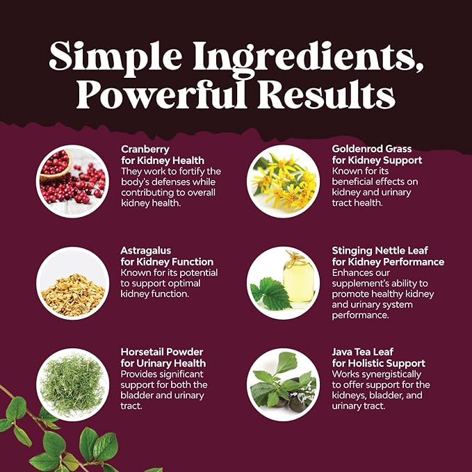 Kidney Support Cranberry Supplement for Women and Men - High Strength Kidney Cleanse and Detox with Stinging Nettle Uva Ursi and Astragalus for Kidney and Bladder Health - Non-GMO Halal and Vegan