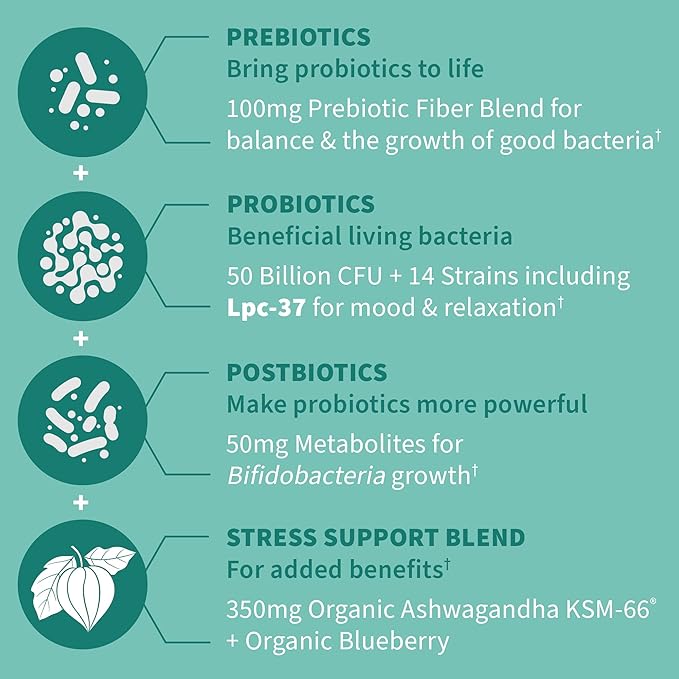Garden of Life Dr Formulated Calm Daily 3-in-1 Complete Probiotics, Prebiotics & Postbiotics with Ashwagandha - PRE + PRO + POSTBIOTIC Supplement for Immune, Digestive & Mood Support - 30 Day Supply