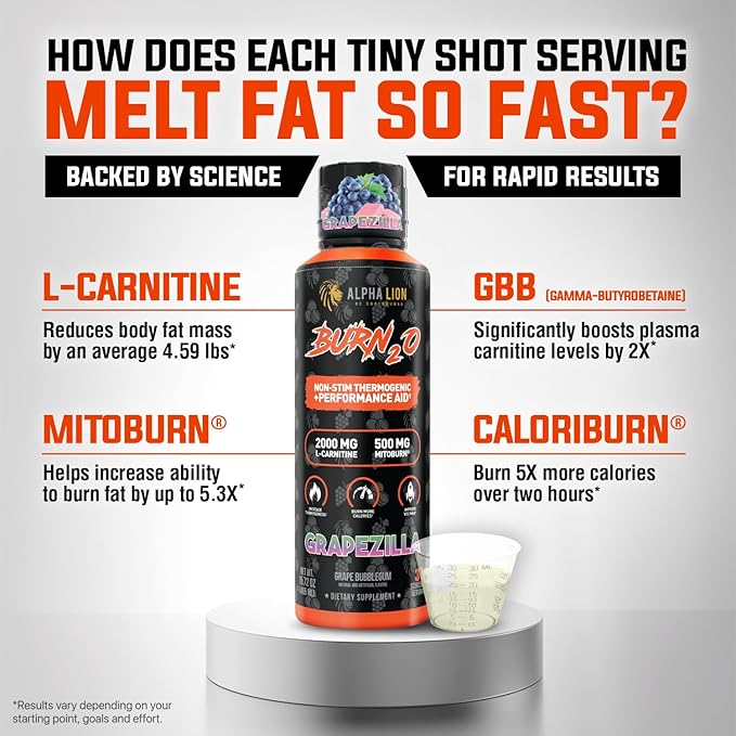 ALPHA LION Burn2O L-Carnitine Liquid 2000mg – Stim Free Super Thermogenic Fat Burner with MitoBurn® & CaloriBurn GP®, Metabolism Booster, Zero Calorie, Sugar-Free (31 Servings, Grapezilla Flavor)