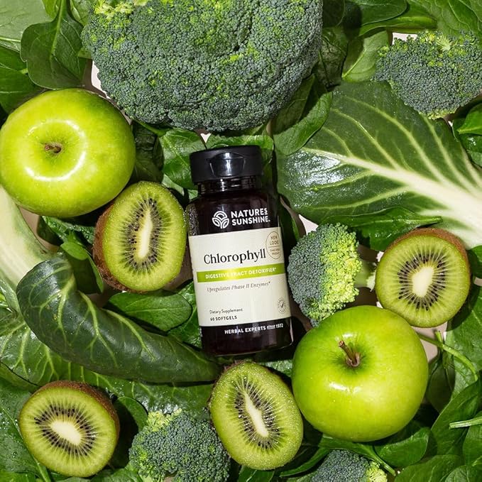 Nature's Sunshine Chlorophyll, 60 Softgel Capsules | Helps Support the Body's Blood-Cleansing Functions and Strengthens the Immune and Intestinal Systems