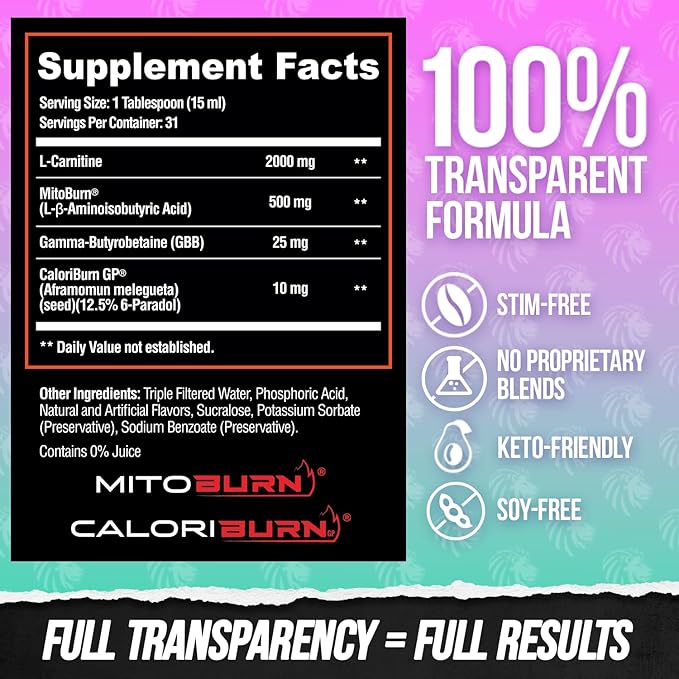 ALPHA LION Burn2O L-Carnitine Liquid 2000mg – Stim Free Super Thermogenic Fat Burner with MitoBurn® & CaloriBurn GP®, Metabolism Booster, Zero Calorie, Sugar-Free (31 Servings, Grapezilla Flavor)