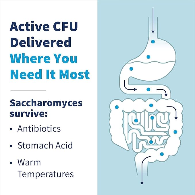 Klaire Labs Saccharomyces Boulardii Probiotic - Acid Resistant & Shelf-Stable Probiotic Supplement to Help Support Healthy Yeast Balance, Immune & Digestive Health - Hypoallergenic, Dairy-Free (120ct)