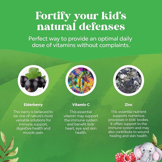 Natures Craft Sambucus Elderberry Gummies for Kids Health - Delicious Black Elderberry Gummies with Zinc and Vitamin C for Kids Immune Support - Gelatin and Gluten Free Non-GMO Immunity Support 90