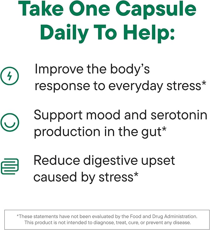 Daily Nouri Stress Probiotic | for Cortisol Management, Digestion, Daily Stress Relief & Gut Microbiome Health | 3 Probiotic Strains & Vegan Ahiflower Omega Oil | for Women & Men | 30-Day Supply