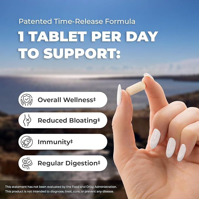 Balance ONE Probiotics for Women & Men – 15x Better Survivability vs Capsules – 15 Billion CFU Probiotic for Gut Health – 12 Strains Lactobacillus Plantarum, Acidophilus & Salivarius – 60 Tablets