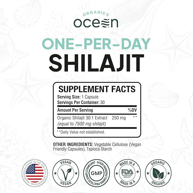 One-Per-Day Shilajit for Men and Women - Natural Shilajit Supplement for Age-Defying, Bone Strength, Hormone Support and More - 30 Shilajit Capsules