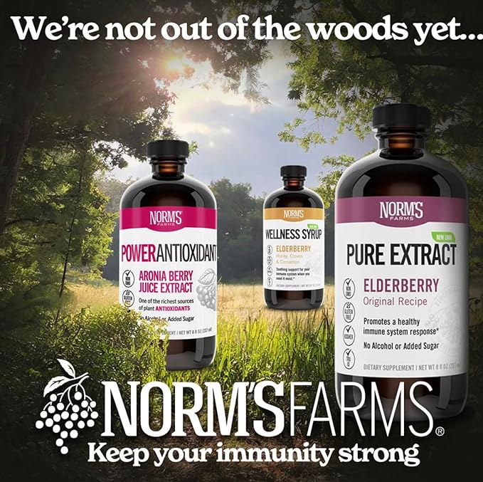 Norm's Farms American Elderberry Extract - Pure Concentrate for Immune Support Made with Berries - Vegan, Gluten Free, Non-GMO - 2 8 Oz. Bottles