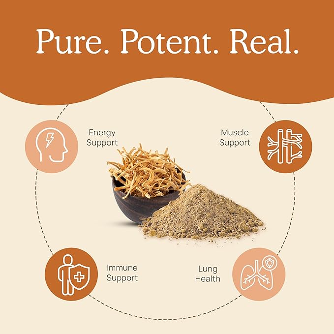 Real Mushrooms Cordyceps Powder - Performance Mushroom Extract with Organic Militaris for Energy Immune Support Vegan Supplement, Non-GMO, 150 Servings