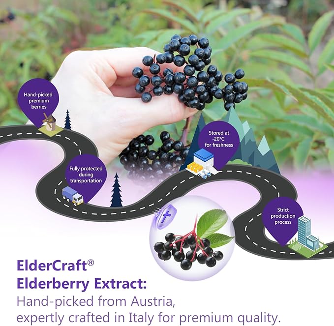 Natural Black Elderberry Gummies, Elderberry Fruit Extract with Vitamin C and Zinc, Herbal ElderCraft® Gummies Daily Immune Support for Kids and Adults, GMO Free, Gluten Free, 60 Count