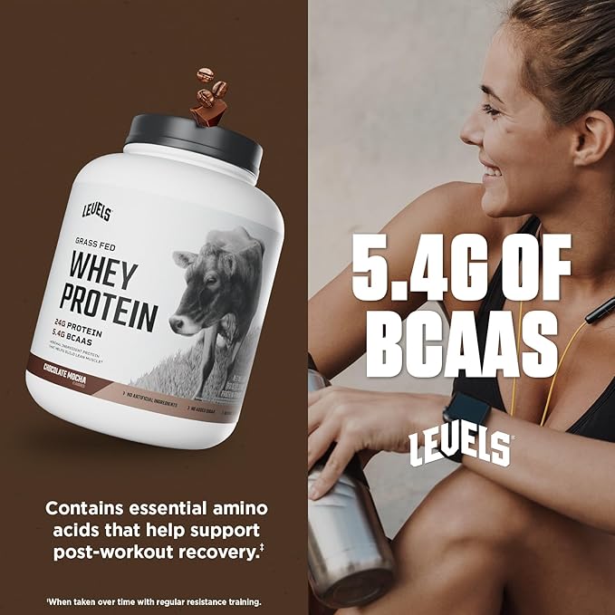 Levels Grass Fed Whey Protein Powder, No Artificials, 24G of Protein, Chocolate Mocha, 5LB
