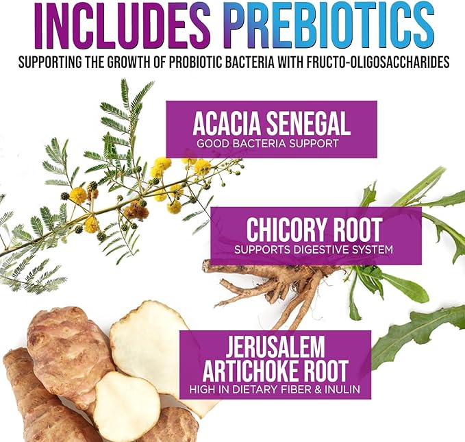 Daily Probiotic and Acidophilus Supplement 60 Billion CFU 10 Strains Capsule for Women & Men - Digestive Gut & Immune Health Support - Supports Occasional Constipation, Gas & Bloating - 120 Capsules