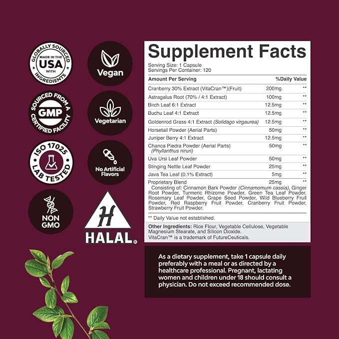 Kidney Support Cranberry Supplement for Women and Men - High Strength Kidney Cleanse and Detox with Stinging Nettle Uva Ursi and Astragalus for Kidney and Bladder Health - Non-GMO Halal and Vegan
