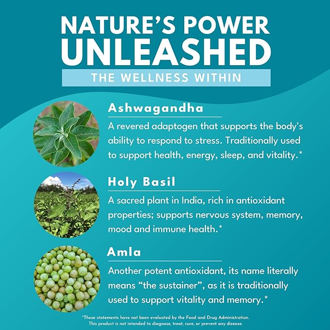 Ashwagandha Plus – Stress, Mood, Memory & Energy Support – Potent Extracts of Root and Leaf with Amla & Holy Basil – Triple Adaptogenic Formula – One Capsule Daily – 30 Vegan Caps