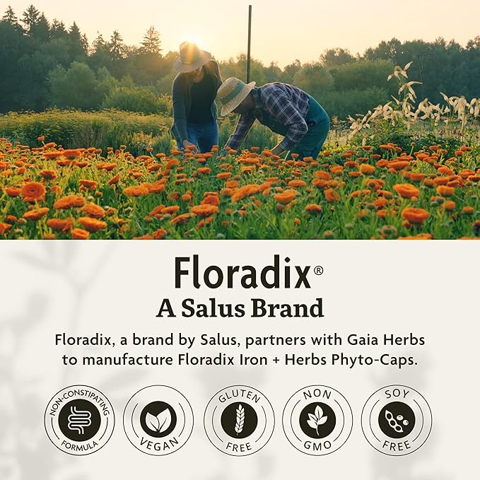 Floradix Iron + Herbs - Iron Supplement for Healthy Energy Support - Vegan, Non-GMO, Gluten-Free, Soy-Free - 60 Liquid Phyto-Caps