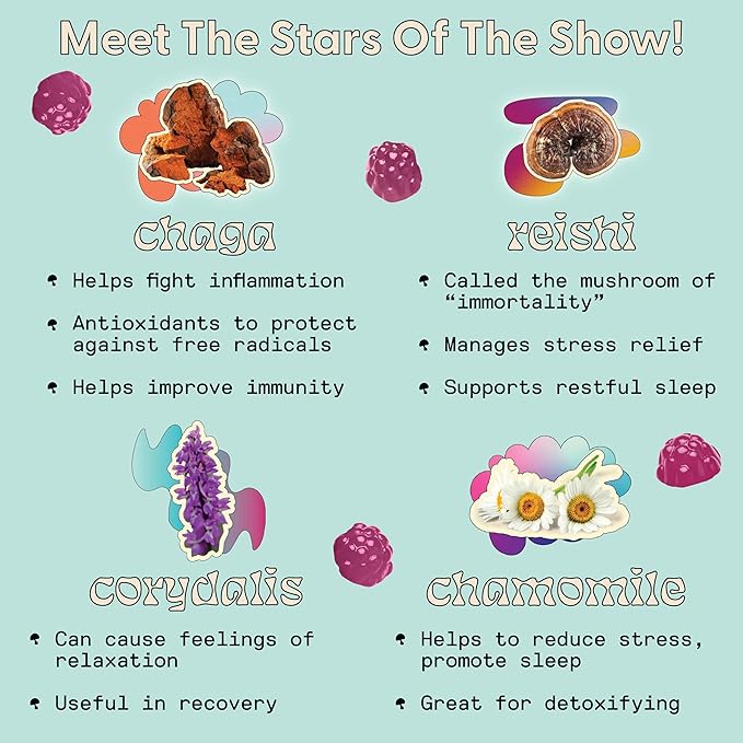 Sleep Gummies for Adults - Mushroom Supplement with Magnesium Citrate, L-Theanine, Chaga, Reishi & Chamomile for Deep Sleep, REM & Detox - Vegan & Sugar-Free - 60 Gummies (30 Servings)