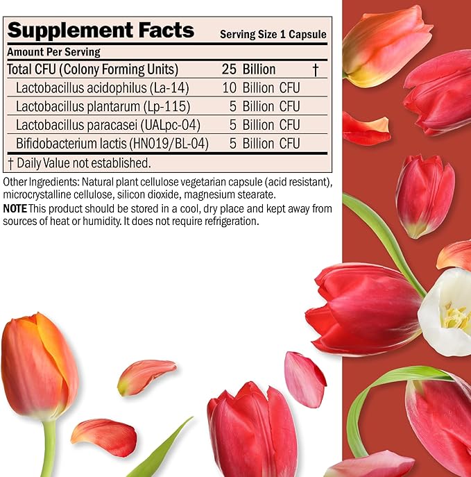 ANDREW LESSMAN Ultimate Friendly Flora Probiotic 60 Capsules - 25 Billion CFU, Comprehensive Blend of Five Probiotic Strains, Powerful Immune and Digestive Support. Probiotics for Women or Men