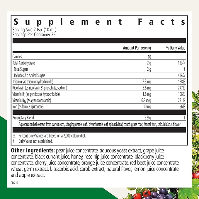 Floradix by Salus Iron & Herbs - Liquid Herbal Supplement for Energy Support - Iron Supplement with Vitamin C & B Complex Vitamins - for Men & Women - 8.5 Fl Oz