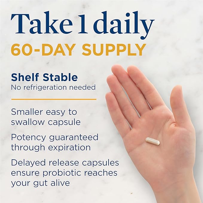 Renew Life Probiotic Adult 50 Plus Probiotic Capsules, Daily Supplement Supports Urinary, Digestive and Immune Health, L. Rhamnosus GG, Dairy, Soy and gluten-free, 30 Billion CFU, 30 Count