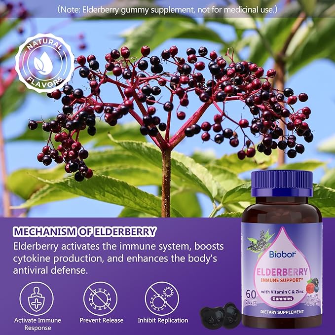 Natural Black Elderberry Gummies, Elderberry Fruit Extract with Vitamin C and Zinc, Herbal ElderCraft® Gummies Daily Immune Support for Kids and Adults, GMO Free, Gluten Free, 60 Count